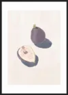Figs_Sort