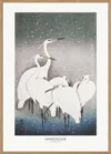 Group Of Egrets