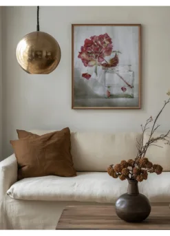 Alternative view of Hydrangea