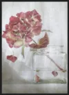 Hydrangea_Sort