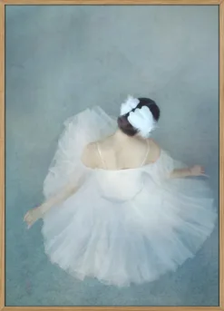 Impression of a Dancer