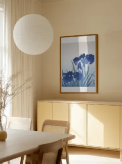 Alternative view of Iris Flowers