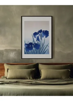 Alternative view of Iris Flowers