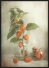 Lanterns_Sort