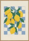 Lemon and Checks No 2