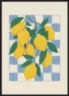 Lemon and Checks No 2_Sort