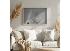 Alternative view of Living museum IV