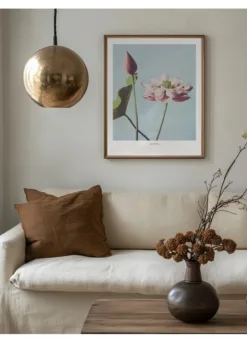 Alternative view of Lotus Flowers