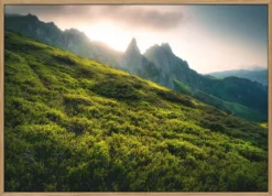 Moments of (un)clarity