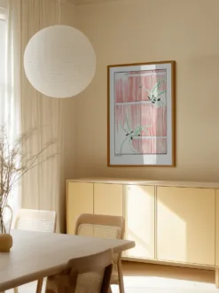 Alternative view of Morning Glory