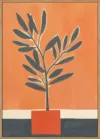 Orange Plant