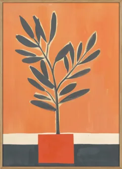 Orange Plant
