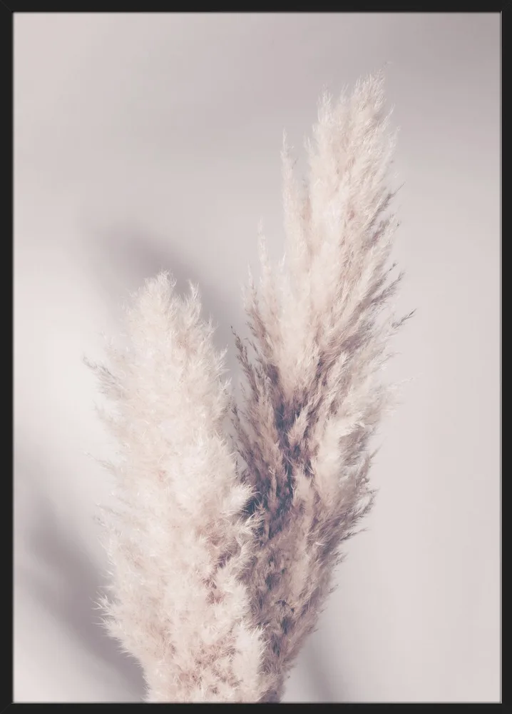 Pampas Grass_Sort
