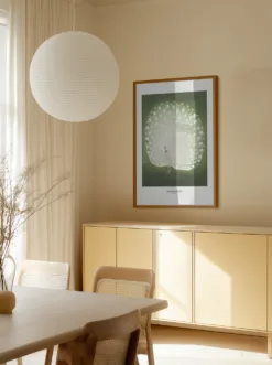 Alternative view of Peacock - Wide