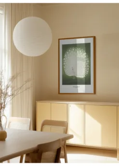 Alternative view of Peacock - Wide