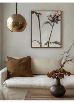 Alternative view of Peony 01