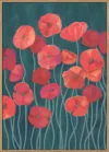 Red poppies