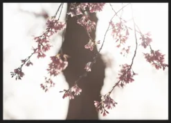 Alternative view of Sakura