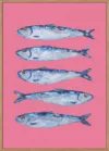 Sardines on Pink
