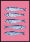 Sardines on Pink_Sort