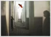 Shadows of the past I_Hvid