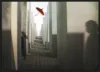 Shadows of the past I_Sort