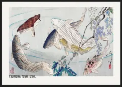 Alternative view of Six Carp Swimming Beneath Wisteria (1889) 1