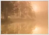 Sun a Mist_Hvid