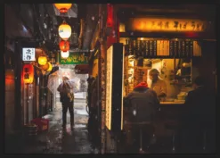 Alternative view of The Man Who Went Home in the Snow