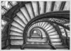 The Rookery_Hvid