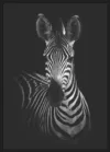 The Zebra_Sort