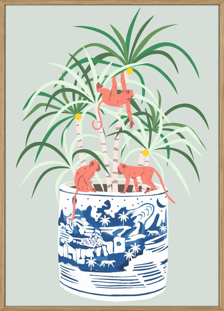 Tropical Bonsai_Massiv eg