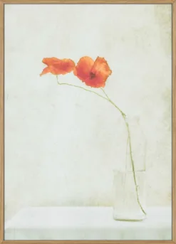 Two Poppies in a Bottle
