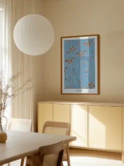 Alternative view of Vine Illustration