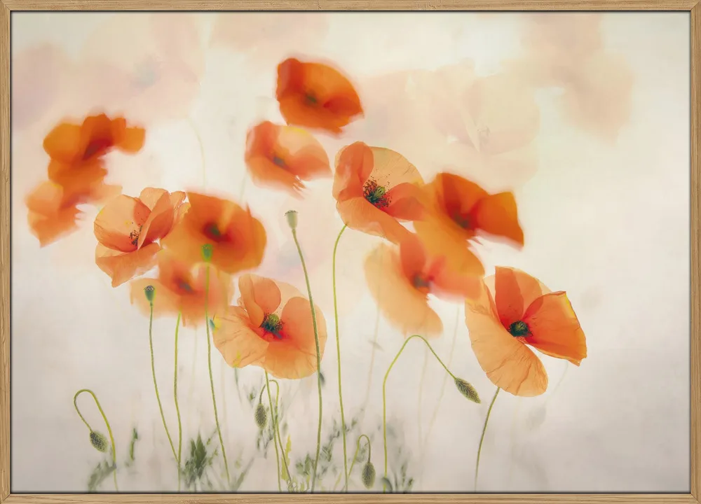 Waving in the wind_Massiv-eg